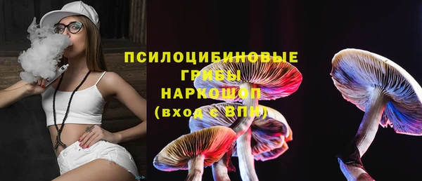 apvp Алексин