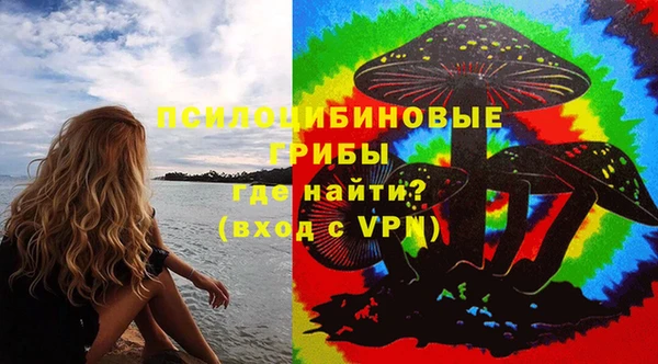 apvp Алексин