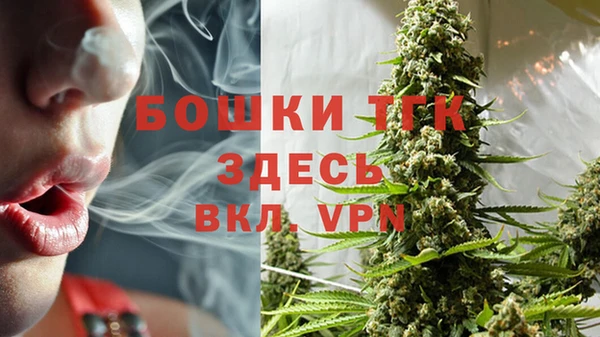apvp Алексин