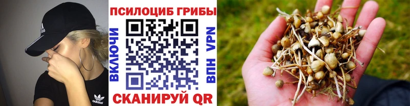 Галлюциногенные грибы Magic Shrooms где найти наркотики hydra ССЫЛКА Алупка